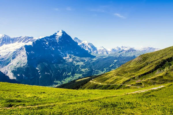 Schweizer Schönheit, Wiesen unter Jungfrau — Stockfoto