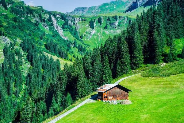 Swiss güzellik, jungfrau altında meadows — Stok fotoğraf