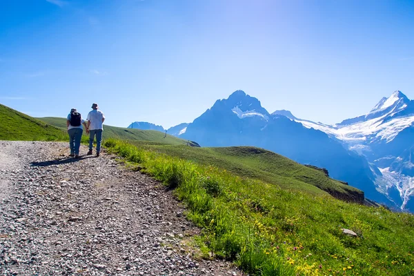 Viaggiatore contro paesaggio alpino. Regione di Jungfrau, Svizzera — Foto Stock