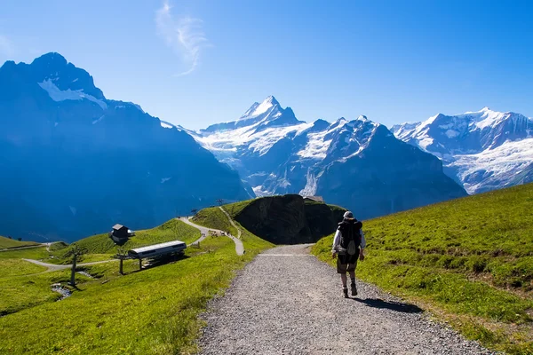 Cestovatel proti alpskou scenerii. region Jungfrau, Švýcarsko — Stock fotografie