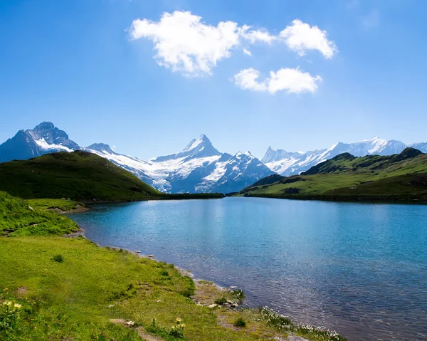 İsviçre güzellik, Schreckhorn ve Wetterhorn, İsviçre. — Stok fotoğraf