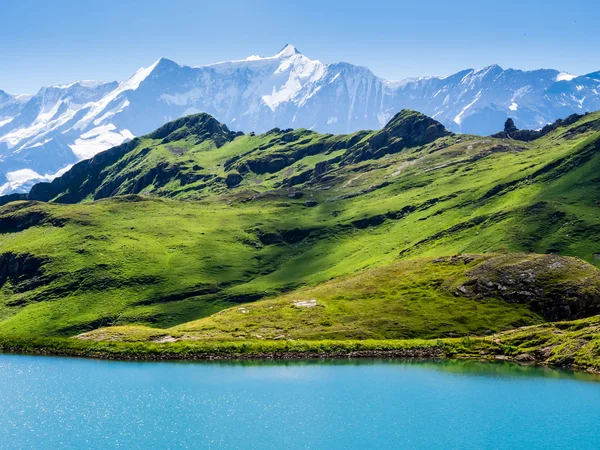 Schweiziska skönhet, Grindenwald, Schweiz. — Stockfoto