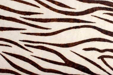 Arka plan için siyah ve beyaz deri dokusu.