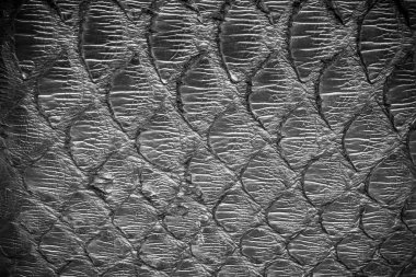 Black  python  leather, skin texture for background. clipart