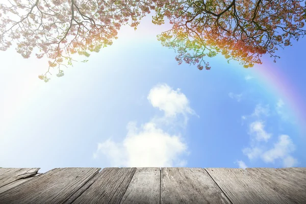 Cereza japonesa y con arco iris en el cielo azul —  Fotos de Stock