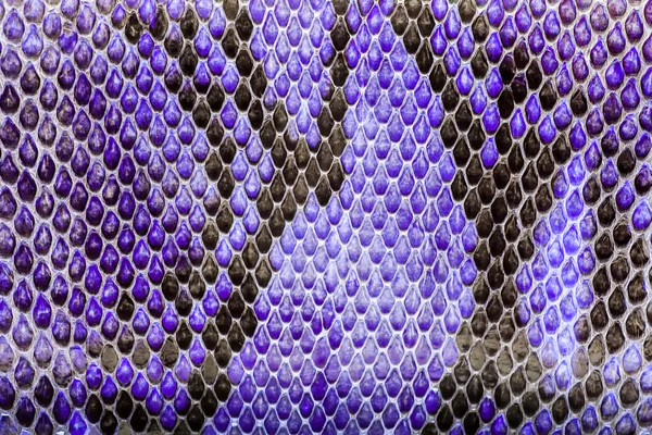 Purple  python  leather, skin texture for background. — Stock Photo, Image