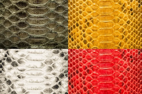 Mix color python leather, skin texture for background. — Stock Photo, Image