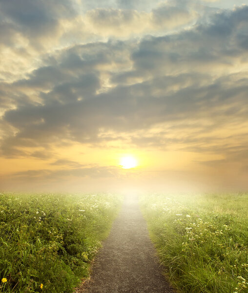 evening road in steppe to sunset