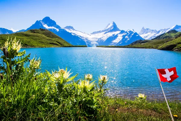 Swiss beauty, Schreckhorn and Wetterhorn, Suíça . — Fotografia de Stock