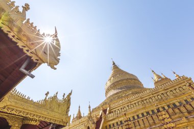 Shwezigon Selami (Pagoda) Bagan, Myanmar. 1 / 5 en popüler f