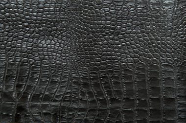 Siyah croccodile deri arka plan ve doku