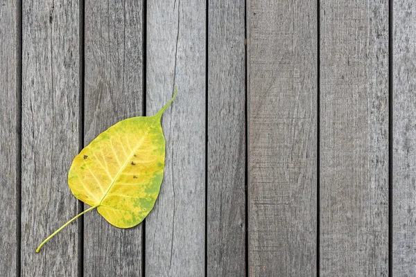 Hoja de bodhi amarillo en suelo de madera —  Fotos de Stock