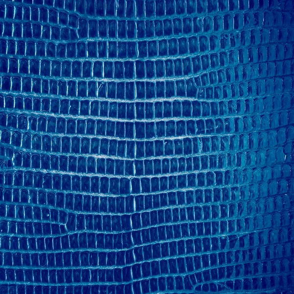 Blå reptil läder textur bakgrund. — Stockfoto