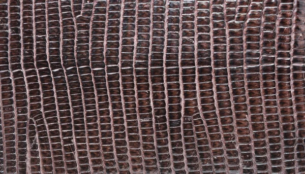 Bruin reptiel lederen textuur achtergrond. — Stockfoto