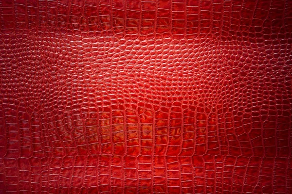Röda croccodile läder bakgrund och textur — Stockfoto