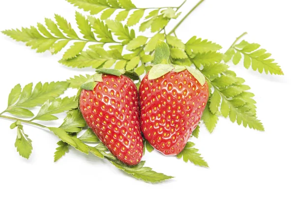Erdbeeren mit grünen Blättern auf weißem Hintergrund — Stockfoto