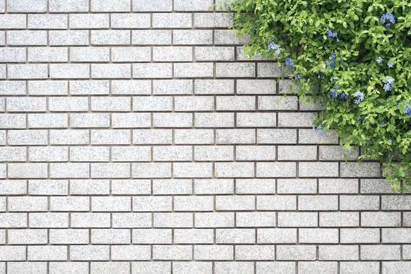 Giardino verde decorativo su un muro di mattoni — Foto Stock