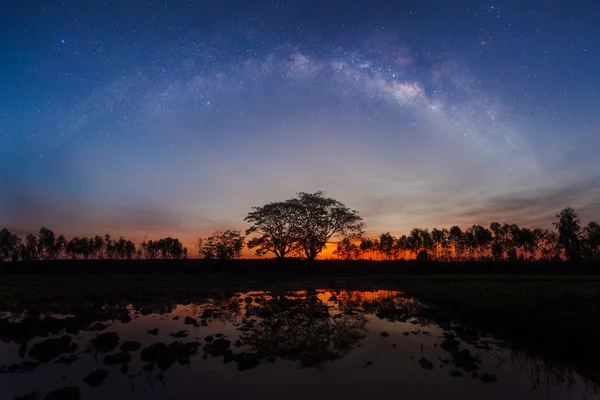 Silhouet van bomen en Melkweg — Stockfoto