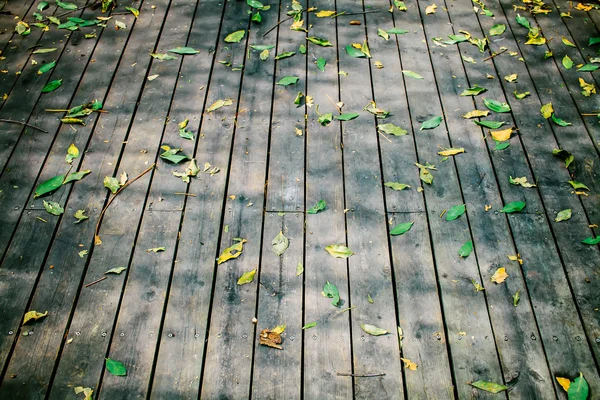 Podłogi z drewna z liści — Zdjęcie stockowe