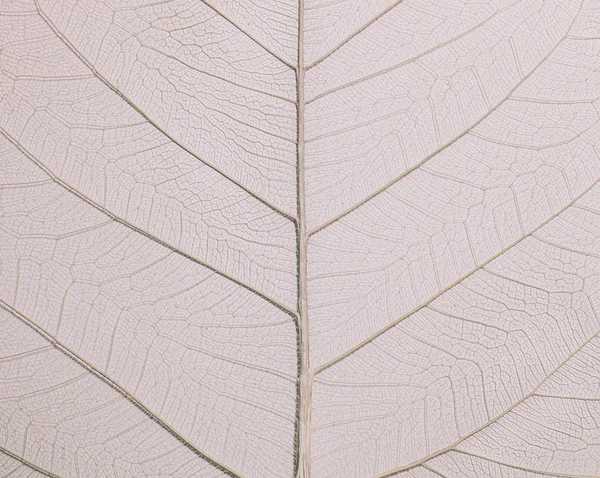 Leaf texture in vintage color tone for background. — Stock Photo, Image