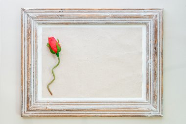 Gül Sevgililer günü arka plan için vintage ahşap çerçeve.