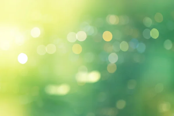 Prachtige groene natuurlijke bokeh, abstracte achtergrond — Stockfoto
