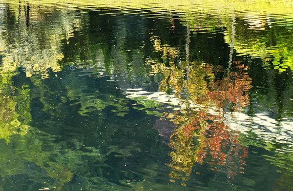 Abstract trees reflection on rippled water surface