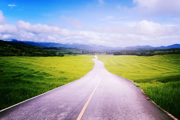 Droga asfaltowa z ryżu pola w okolicy do błękitnego nieba. — Zdjęcie stockowe