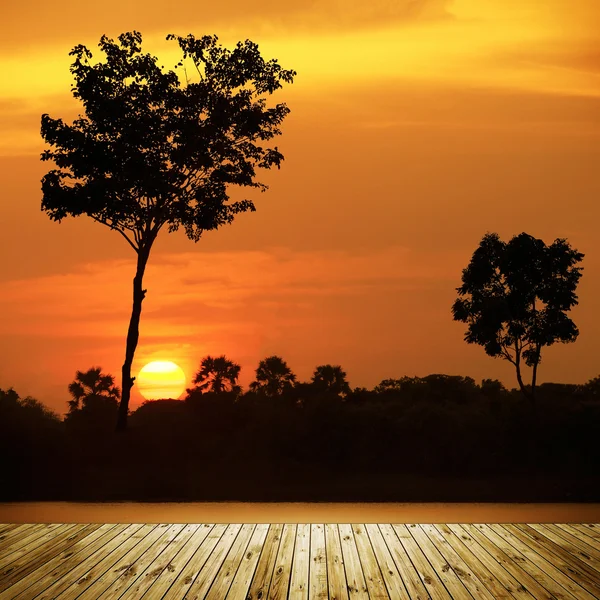Закат силуэта двойного дерева с деревянной доской . — стоковое фото