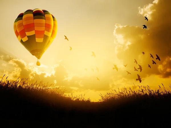 Hot air balloon flying with birds in sunset sky,