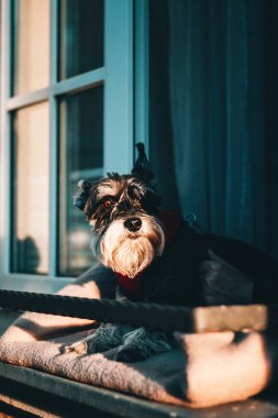 Gdansk 'ın renkli şehrinde mimari