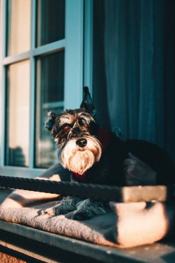 Gdansk 'ın renkli şehrinde mimari