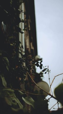 Gdansk 'ın renkli şehrinde mimari