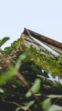 Gdansk 'ın renkli şehrinde mimari