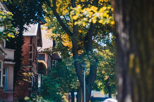 Gdansk 'ın renkli şehrinde mimari