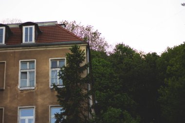 Gdansk 'ın renkli şehrinde mimari