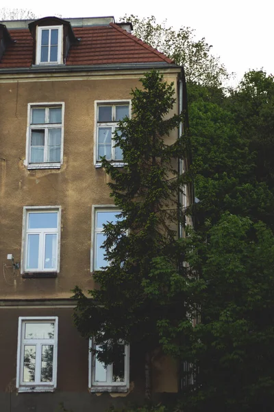 Gdansk 'ın renkli şehrinde mimari