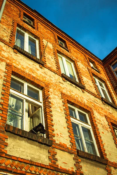 Gdansk 'ın renkli şehrinde mimari