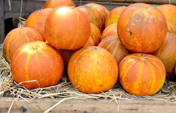 Muskmelon Stacked Sidewalk Market — Stock Photo, Image