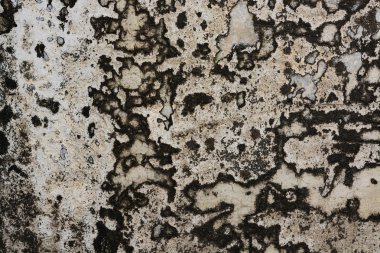 Grunge duvar bariyer arka plan