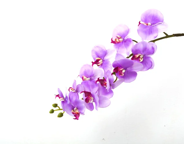 Krásné Plastové Květinové Kytice — Stock fotografie