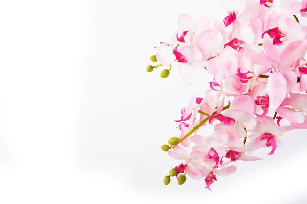Vakker Blomsterbukett Plast – stockfoto