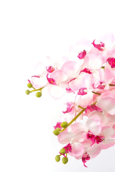 美しいプラスチック花の花束 — ストック写真