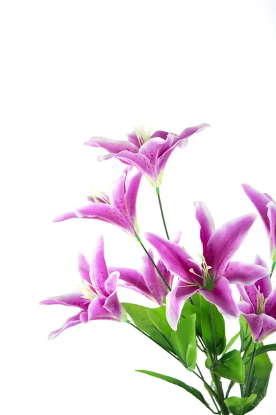 Krásné Plastové Květinové Kytice — Stock fotografie