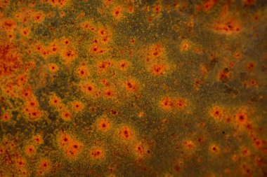 Paslı arka plan çelikten imal edilmiştir.