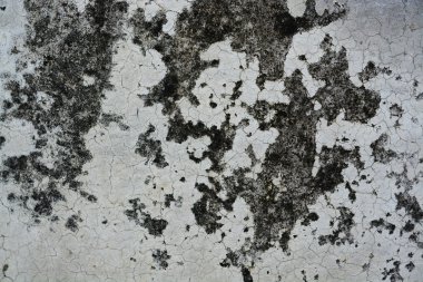 Grunge duvar bariyer arka plan