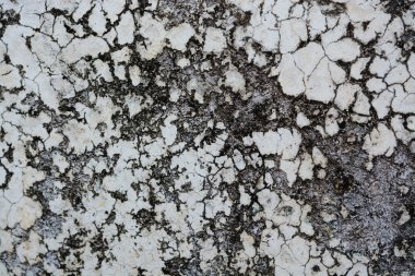 Grunge duvar bariyer arka plan