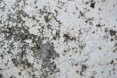 Grunge duvar bariyer arka plan