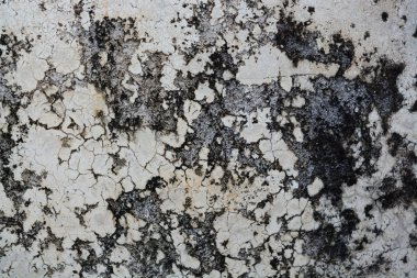 Grunge duvar bariyer arka plan