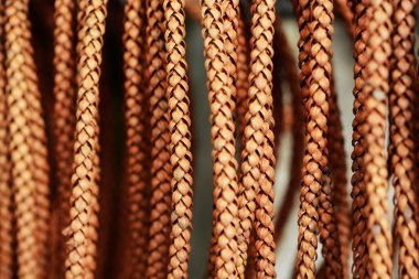 Çam koni arka plan kablolu.